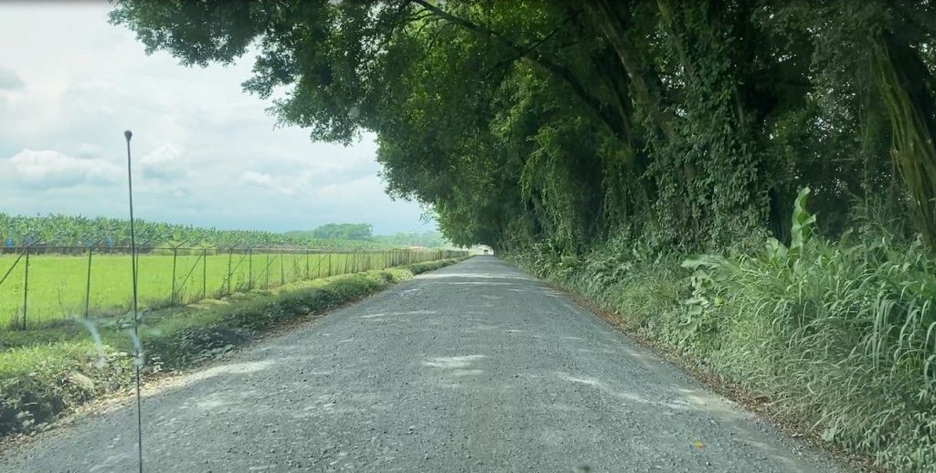 Proyecto ruta 806