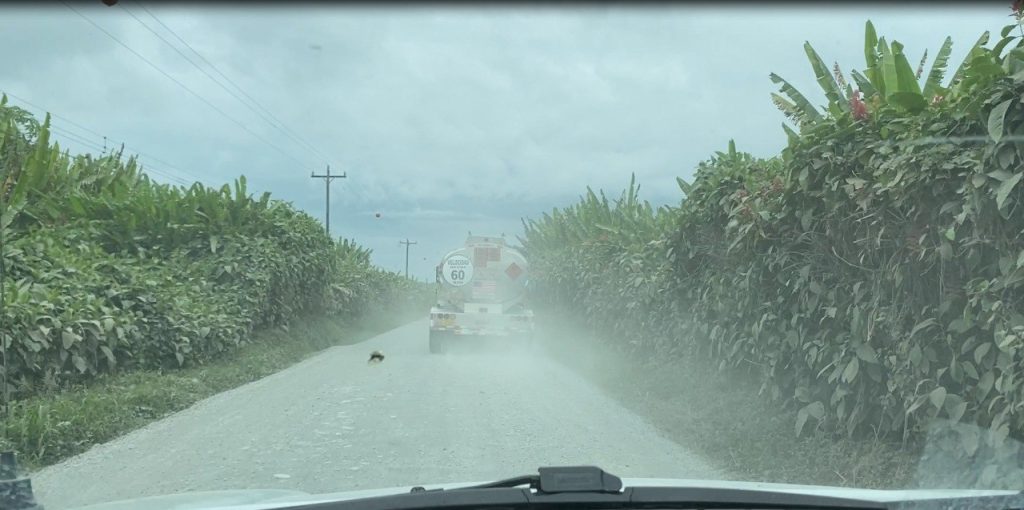 Proyecto ruta 806