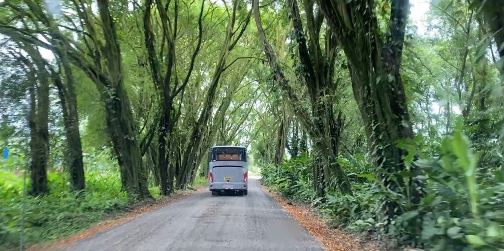 Proyecto ruta 806